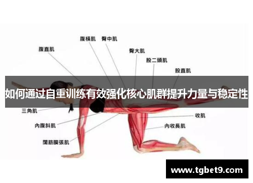 如何通过自重训练有效强化核心肌群提升力量与稳定性